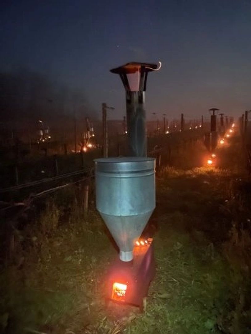 Pelet sobası dönüme çok adet koyularak don mücadelesi yapmaktadır.