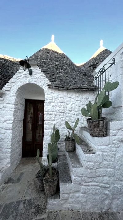 trulli trullo cactus puglia regione turismo aeroporti bari bus transfer tour apulia gruppo bus