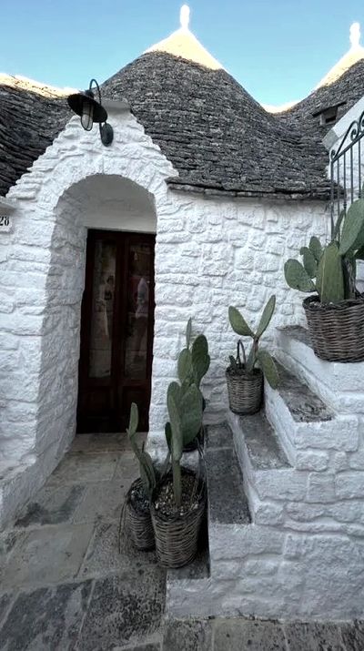 trulli alberobello cactus blue sky holiday vacation summer winter puglia natale mercatini markets