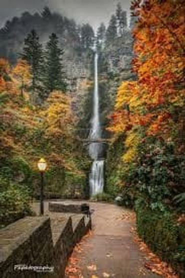 Multnomah falls Oregon