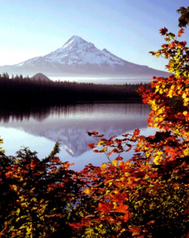 Fall Mount Hood Oregon