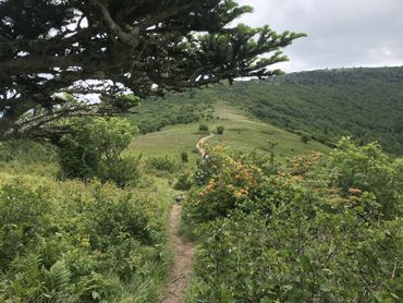 Scenic trail in the mountains