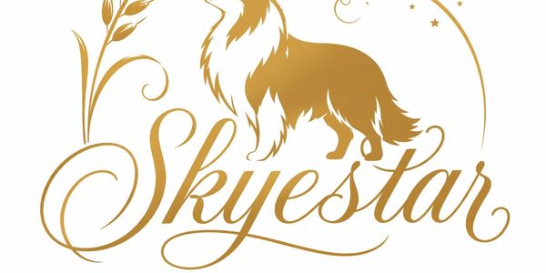 Elegant golden logo featuring a dog and the word 'Skyestar'.