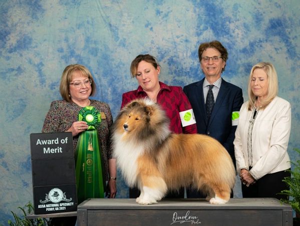 Collie dog with award and four smiling people against a blue backdrop.