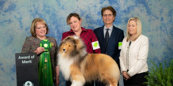 Collie dog with award and four smiling people against a blue backdrop.
