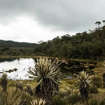 senderismo en el páramo de belmira