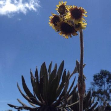 senderismo en el páramo de belmira