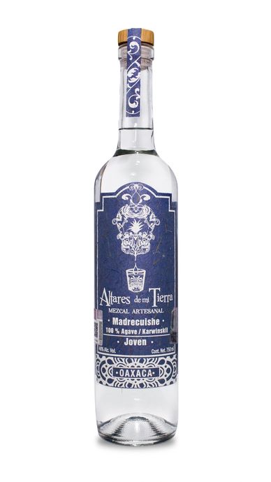 Maguey madrecuishe. agave karwinskii, altares de mi tierra, mezcal artesanal, oaxaca