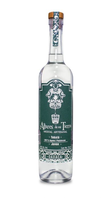Maguey tobala-papalometl, agave potatorum, mezcal artesanal, altares de mi tierra, oaxaca