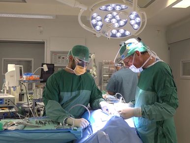 Medicine, surgery, medical care, doctors, professionalism, scrubs