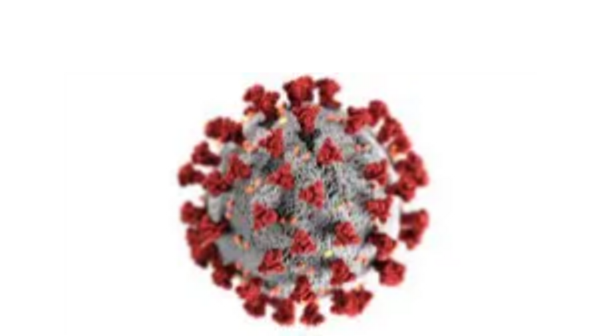 COVID Virus