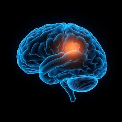 A brain with a section lighting up.