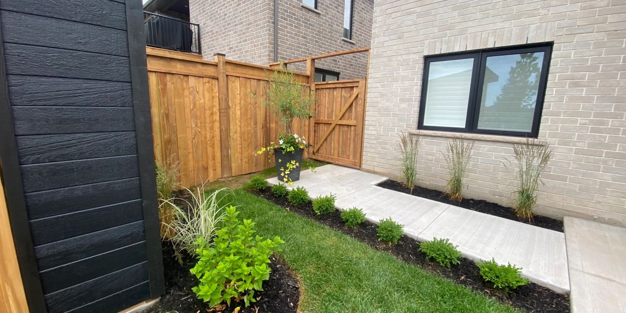 Backyard garden with wooden fence and concrete pathway.