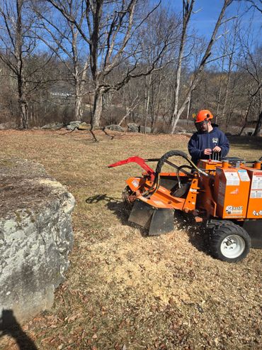 Person operating an orange stump grinder machine in a yard.