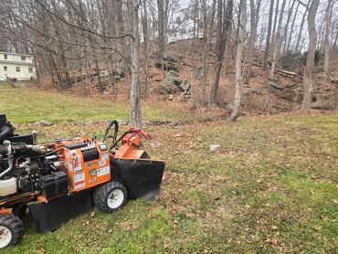 Orange stump grinder machine on a grassy lawn near a wooded area.