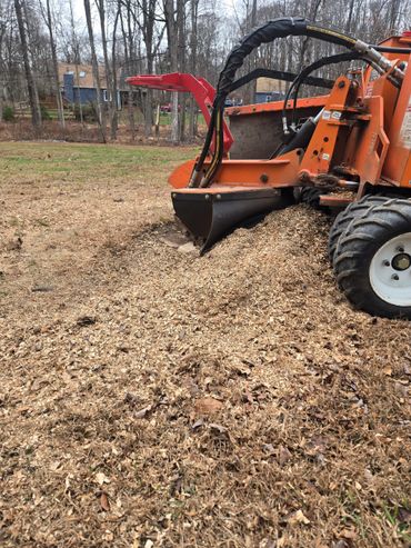 An orange stump grinder working on a tree stump in a yard.