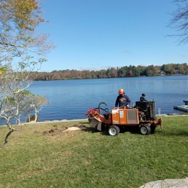 Worker operating stump grinder near a lake on a clear day.