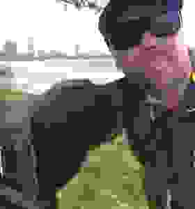 Owner of Happy Dog Training being licked on the face by Brown Labrador at park, ocean background