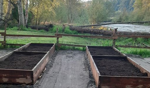 A.R. MOSS raised beds 2020