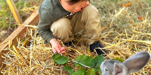 Encouraging a love of nature in children
