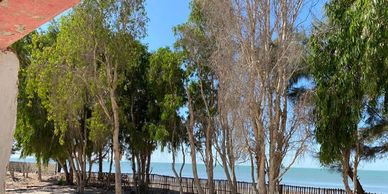 Une plage majestueuse pour vous ressourcer