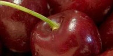 A close up look on cherries