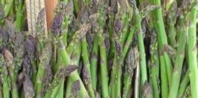 Stalks of asparagus