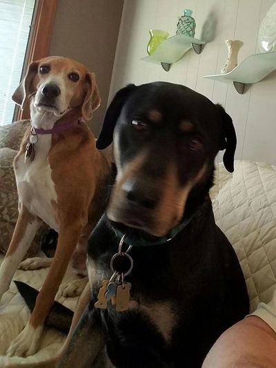 NJ Wedding Minister -