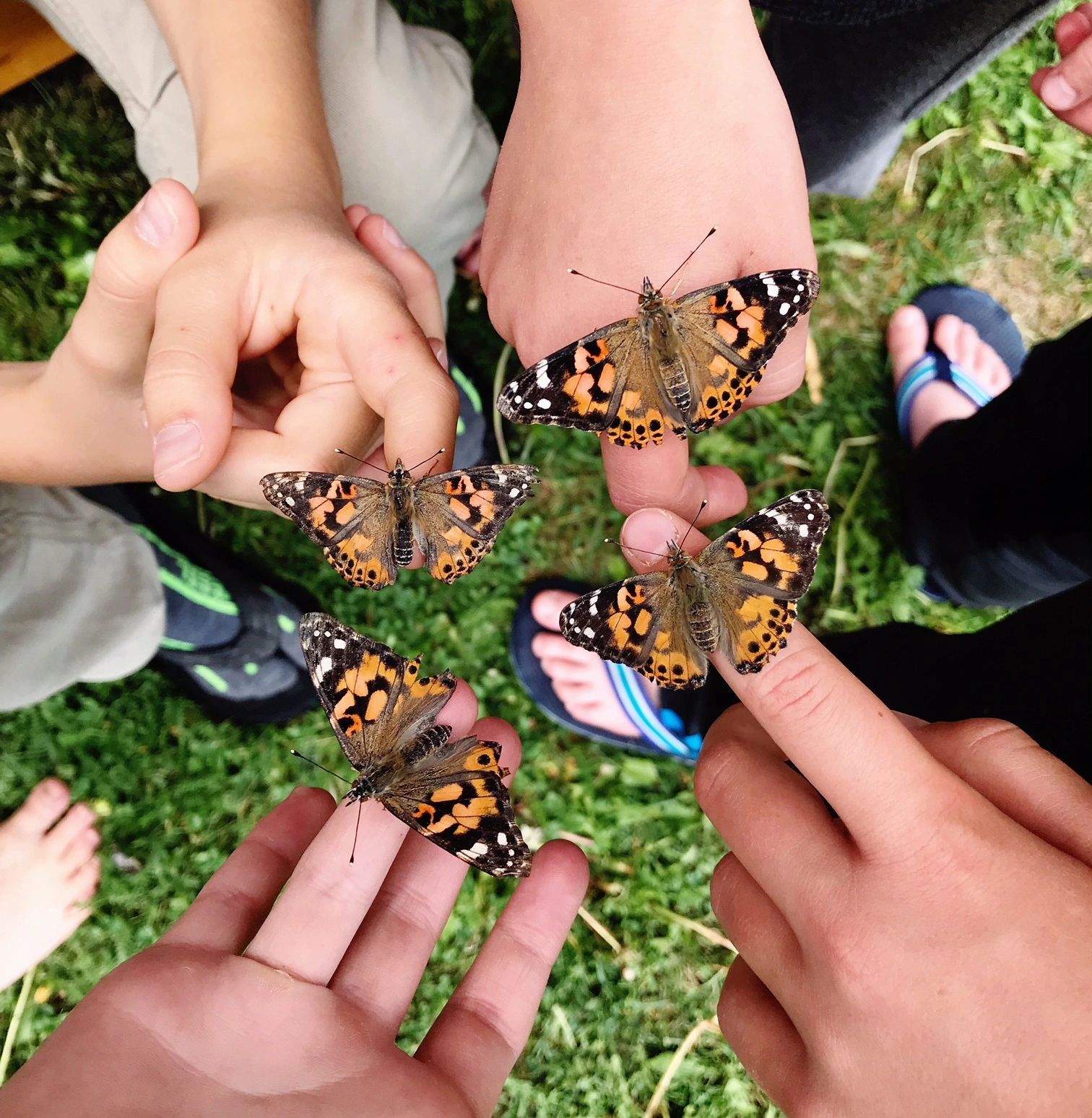 A group of friends with butterflies on their fingers