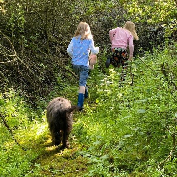 Girls exploring the woodland, followed by black dog