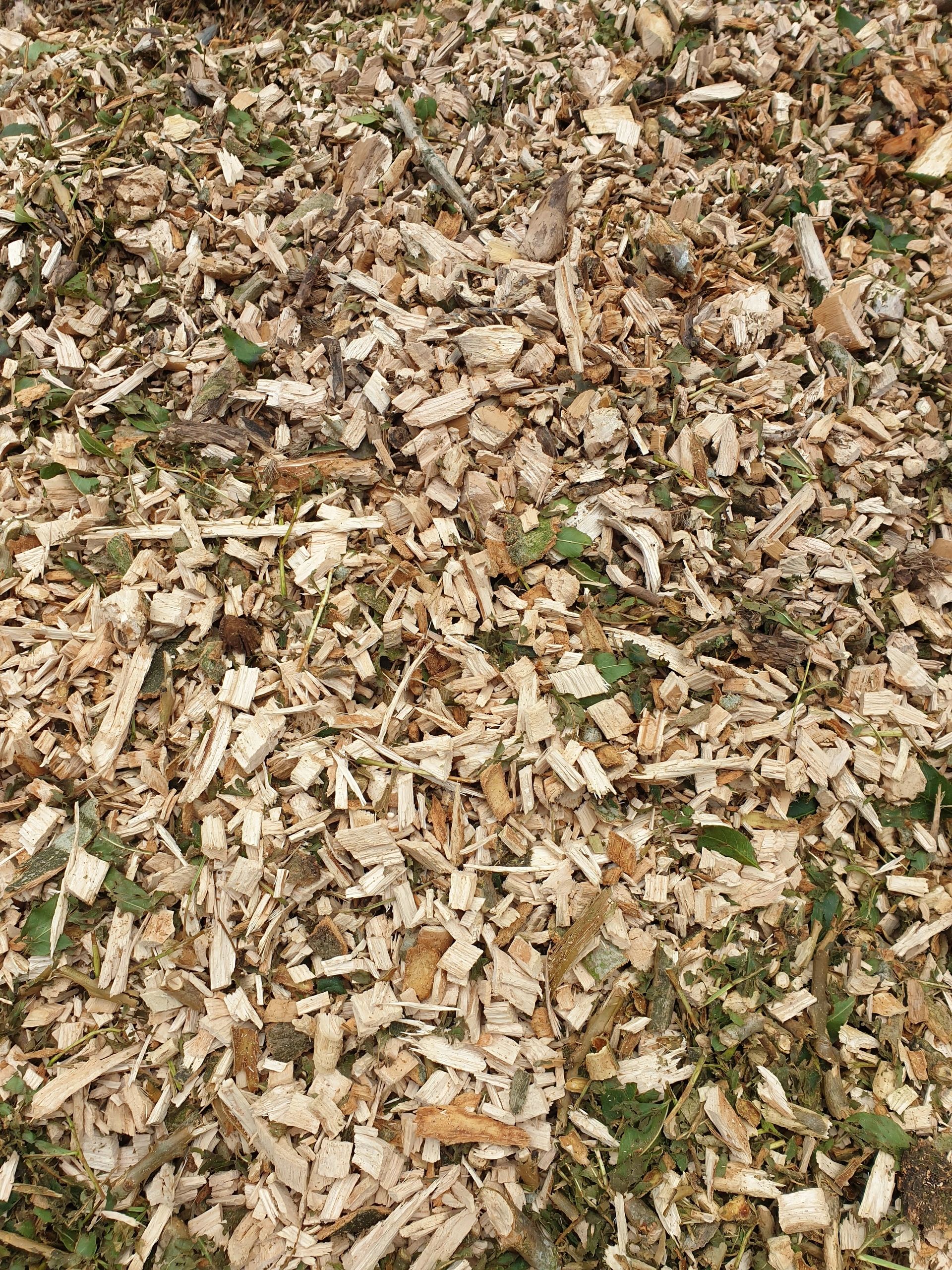 Freshly chipped woodchip mulch, including foliage.