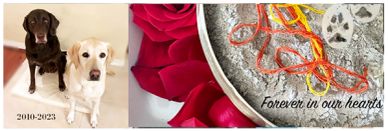 Memorial tribute for two dogs with rose petals and paw prints in ashes.