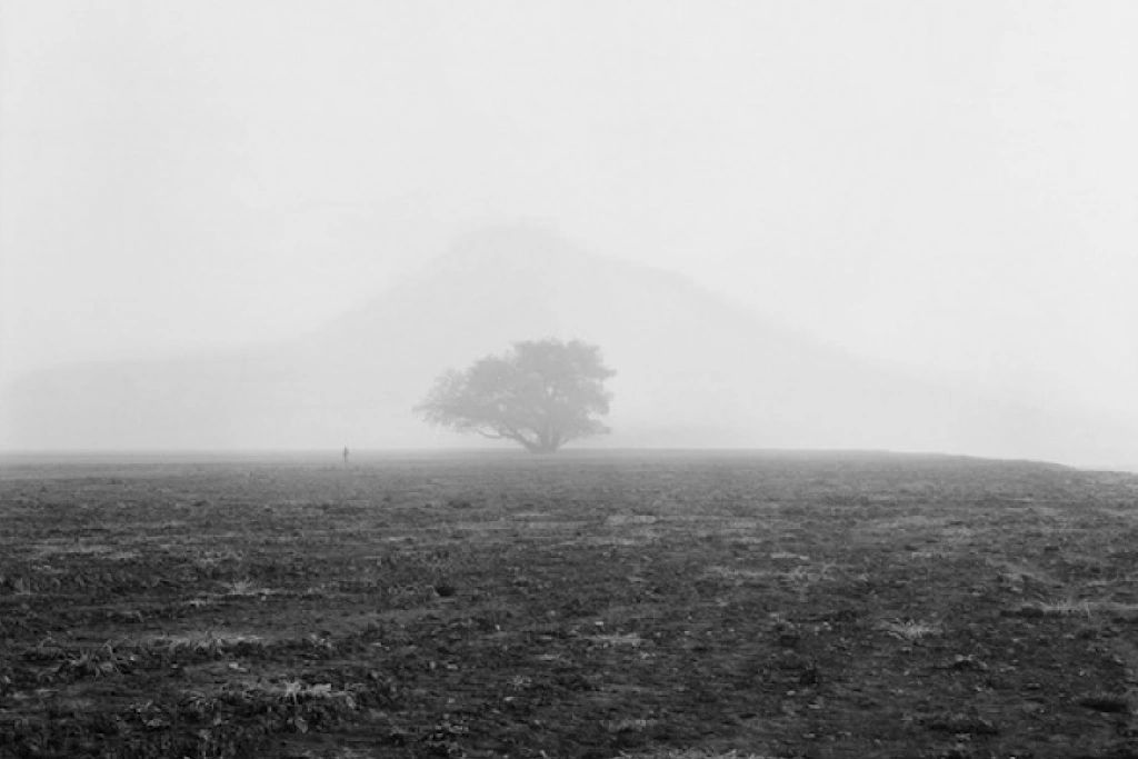 In the nowhere town of Mojo, there is a truce, there is a Council, and there is Black Betty, a Man K