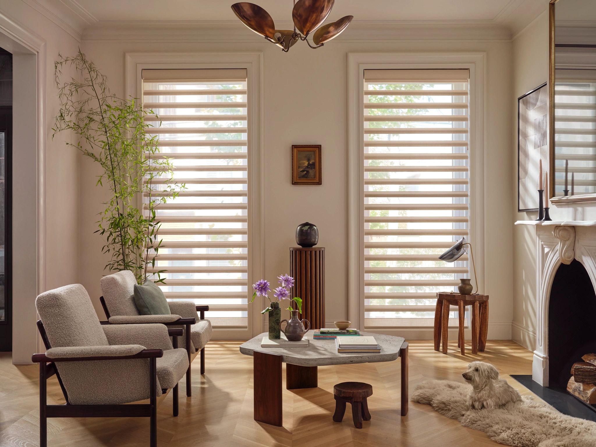 custom roller blackout shades in modern living room”