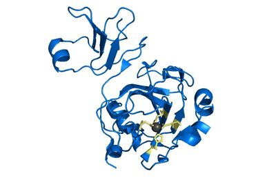 Proteins are the machines that power life.