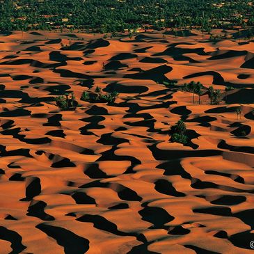 Photography credit Yann Arthus-Bertrant
Oasis of El Golea, El Menia District, Ghardaia, Algeria