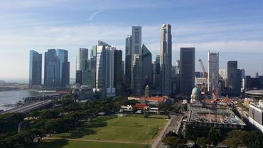 View of a modern city skyline with tall skyscrapers and a green park in the foreground.