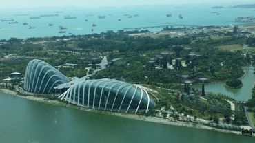 Aerial view of Gardens by the Bay with futuristic glass domes and Supertree structures.