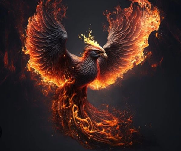 A majestic phoenix bird engulfed in vibrant flames against a dark background.