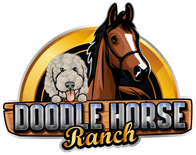 Doodle Horse Ranch