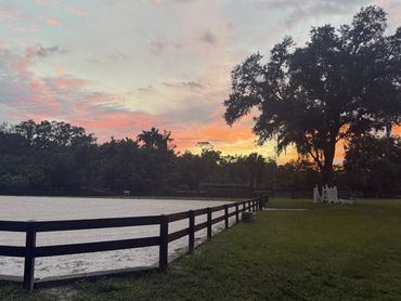 Arena and jumps under a live oak at sunset at Doodle Horse Ranch in Apopka, Florida