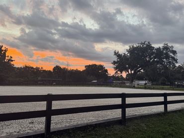Fenced sand riding arena at sunset at Doodle Horse Ranch in Apopka, Florida