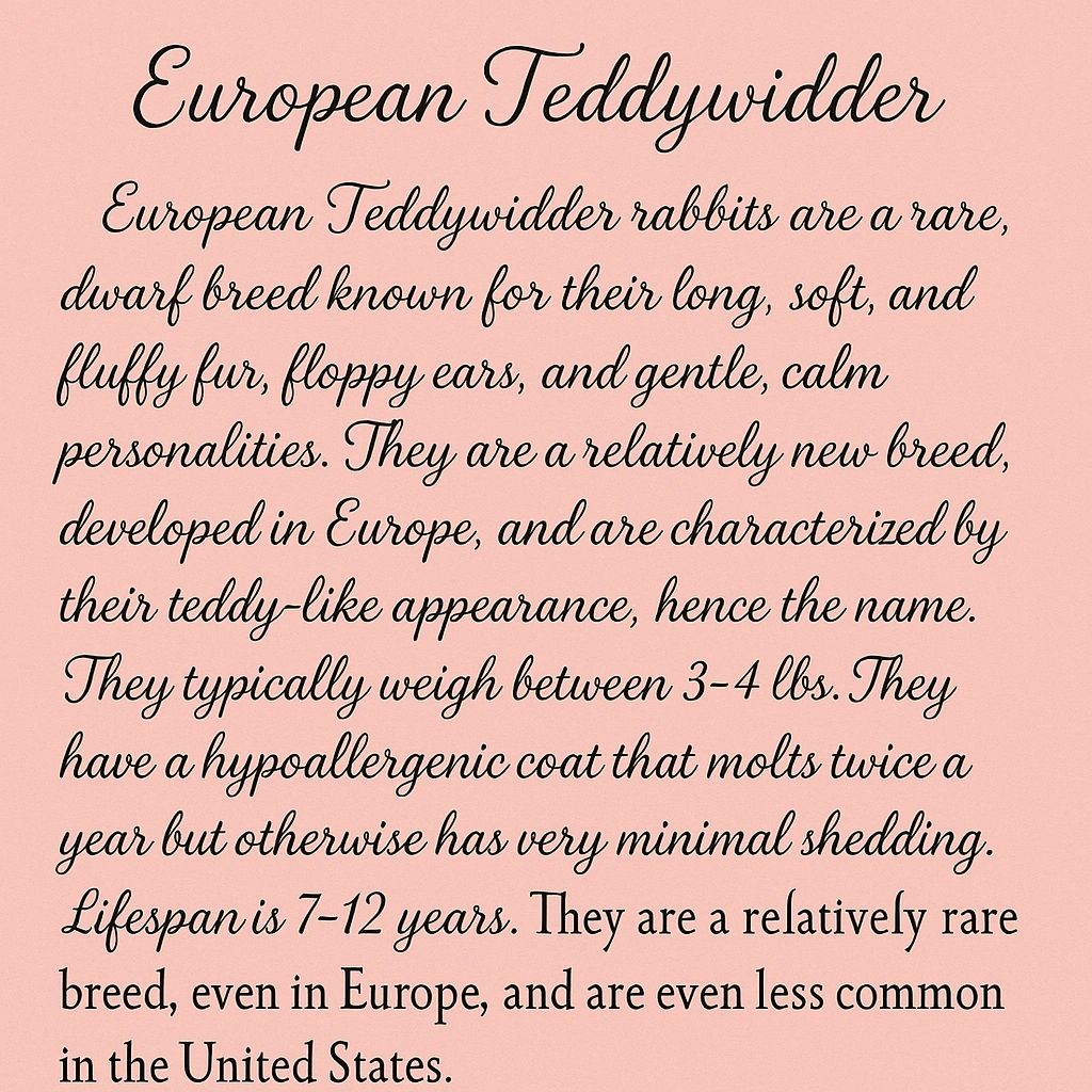 European Teddywidder rabbits are rare, fluffy dwarf rabbits with gentle personalities.