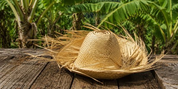 Straw hat resting on a wooden surface with greenery in the background.