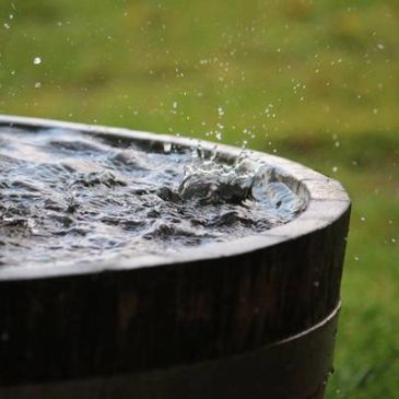 rain barrel and rain collection. rain harvesting