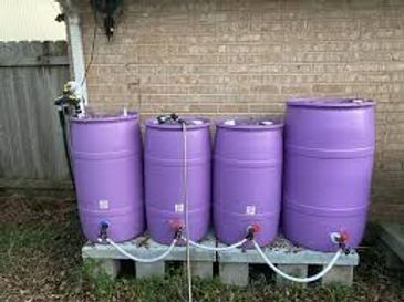 rain barrel