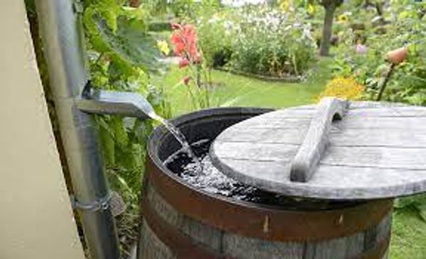 rain barrel