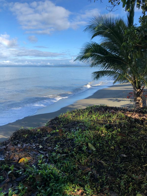 Your new backyard, the beach in pavones