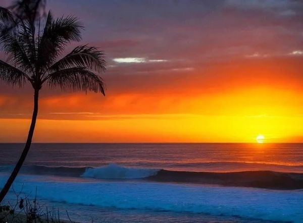 This is a beautiful sunset beer some land for sale we have listed, beachfront property