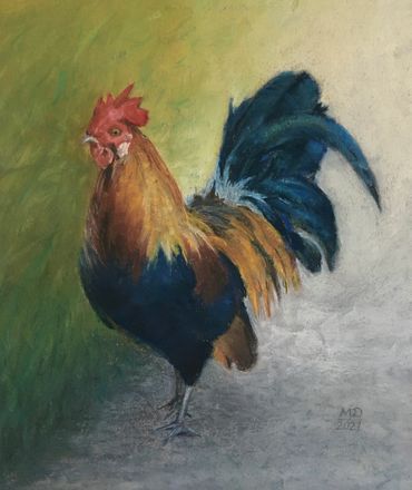 alert rooster